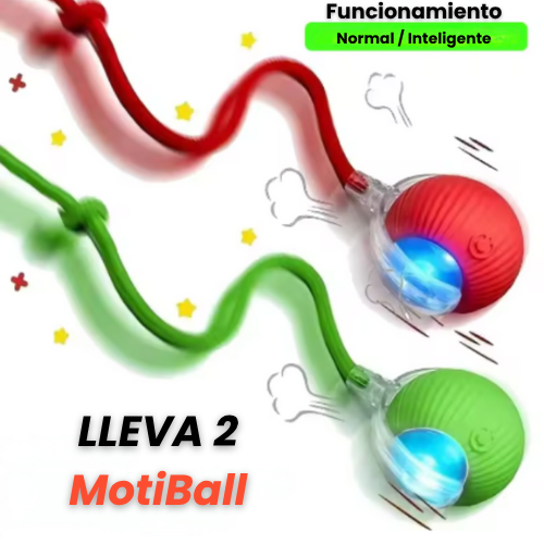 MotiBall TURBO+🐾