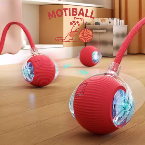 MotiBall TURBO+🐾