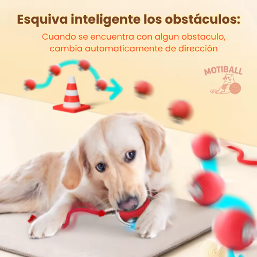 MotiBall TURBO+🐾
