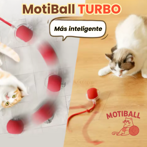 MotiBall TURBO+🐾