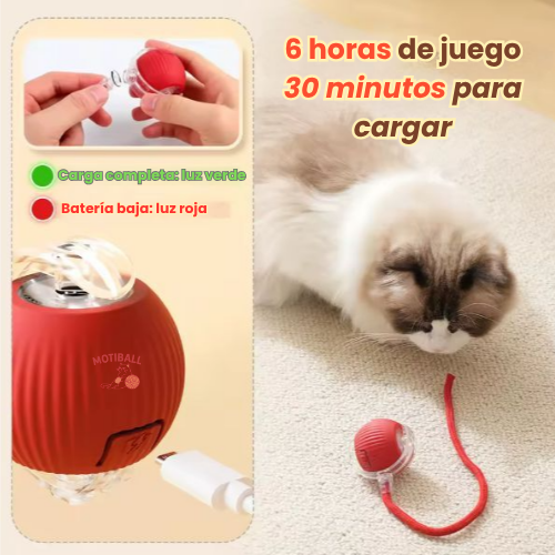 MotiBall TURBO+🐾